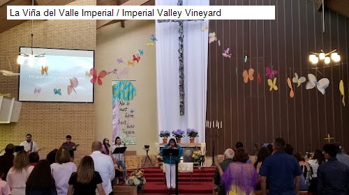 La Viña del Valle Imperial / Imperial Valley Vineyard