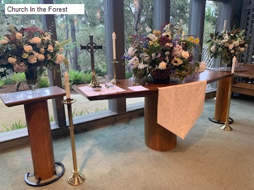 Church In the Forest