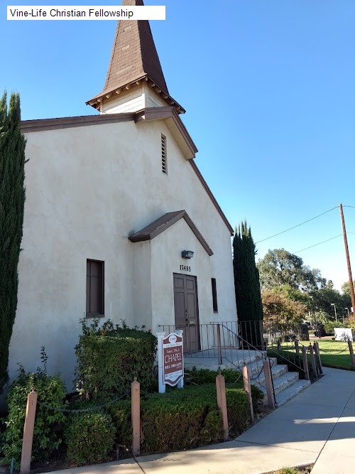 Vine-Life Christian Fellowship