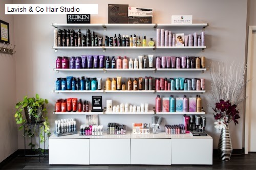 Lavish & Co Hair Studio