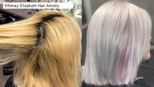 Whitney Elizabeth Hair Artistry