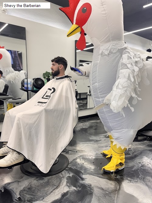 Shevy the Barberian