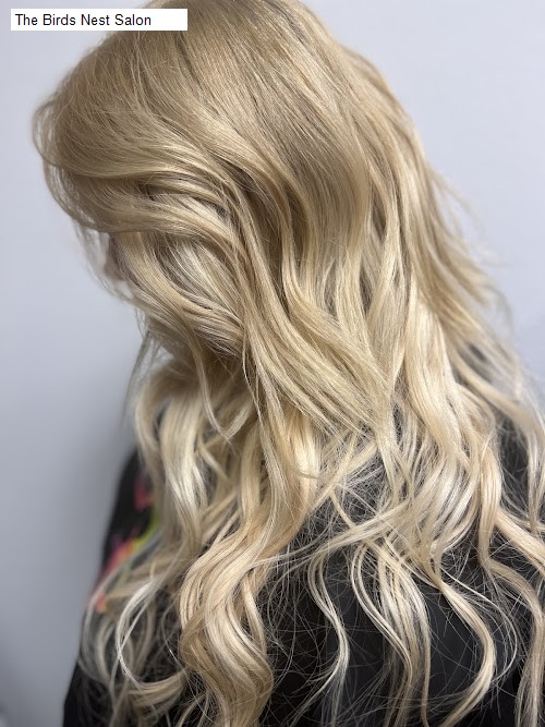 The Birds Nest Salon